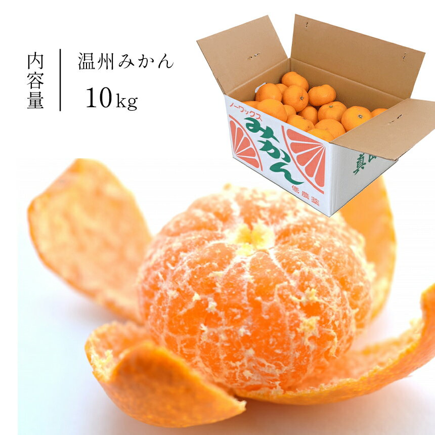 奈良県大淀町の画像2