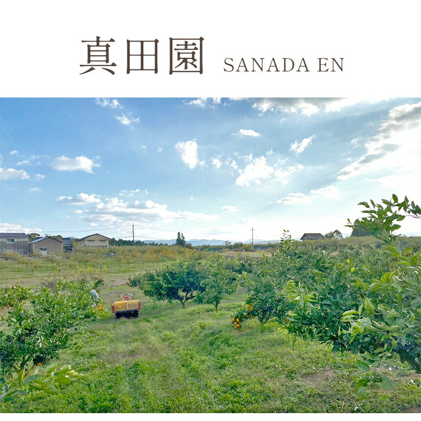 奈良県大淀町の画像3