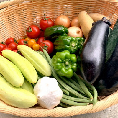 【ふるさと納税】新鮮・栽培期間中農薬不使用野菜。旬の野菜5品〜8品目を段ボールいっぱいにしてお届け!【配送不可地域：離島】【1419693】のサムネイル