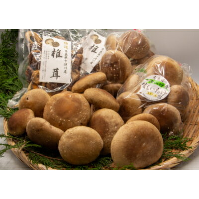 【ふるさと納税】肉厚生しいたけ・干ししいたけセット【配送不可地域:離島】【1259444】