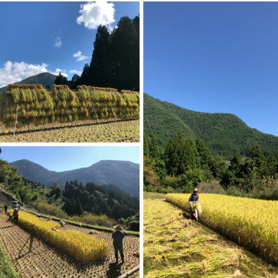 【ふるさと納税】純米酒「谷瀬」の酒粕アイス　6個入り【配送不可地域：離島】【1296413】