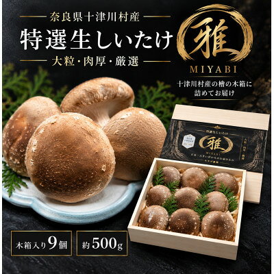 [大粒・肉厚]特選生しいたけ「雅」木箱入り9個 約500g 奈良県十津川村産[配送不可地域:離島]