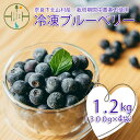 【ふるさと納税】先行受付 2025年7月〜発送 栽培期間中農薬不使用 としちゃんのブルーベリー 300gx4 手摘み 下北山村産