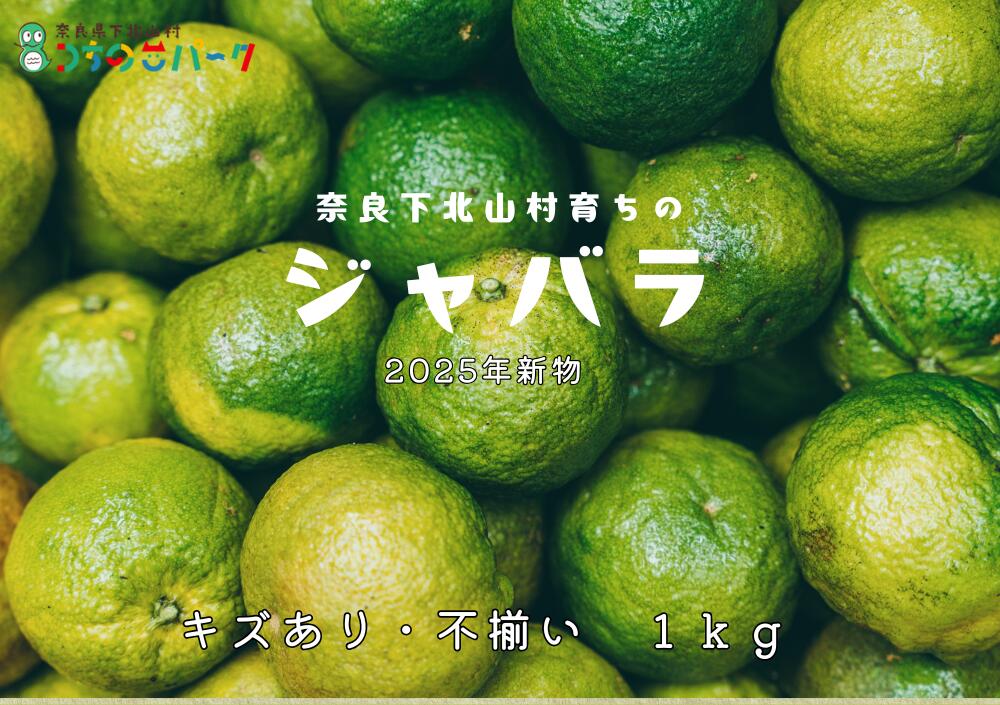 【ふるさと納税】2025年度新物!先行予約!奈良県下北山村産 ジャバラ果実 <キズあり・サイズ混合> 1kg(12月中旬以降発送)