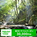 19位! 口コミ数「0件」評価「0」奈良県川上村の対象施設で使える楽天トラベルクーポン　寄付額100,000円（クーポン額30,000円）