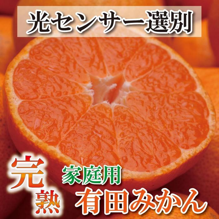 【ふるさと納税】＜11月より発送＞家庭用 完熟有田みかん10kg+300g（傷み補償分）訳あり | フルーツ 果物 くだもの 食品 人気 おすすめ 送料無料 わけあり 光センサー選果