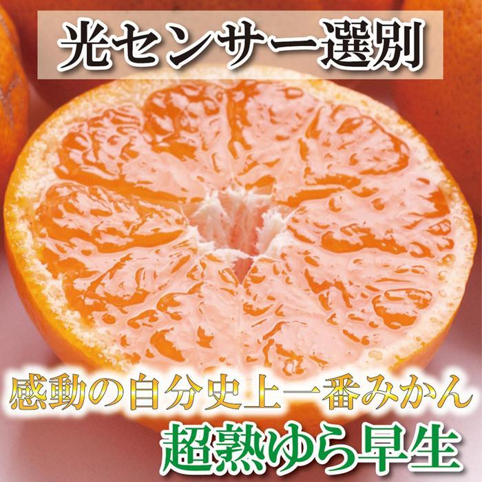 1位! 口コミ数「0件」評価「0」＜11月より発送＞厳選 超熟有田みかん5kg+150g（傷み補償分） | フルーツ 果物 くだもの 食品 人気 おすすめ 送料無料 自分史上･･･ 