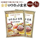 【ふるさと納税】金芽ロウカット玄米 4kg（2kg×2）