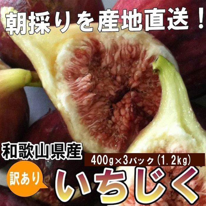 和歌山産 [訳あり] いちじく (サイズ不揃い、傷あり) 1.2kg(400g×3パック)