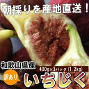 全国お取り寄せグルメ和歌山食品全体No.306