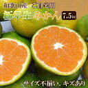 【ふるさと納税】和歌山産 【極早生】みかん 7 . 5kg 【訳あり】【サイズ不揃い・キズ等あり】