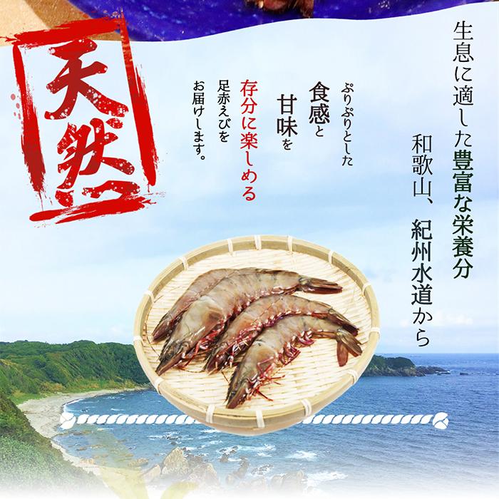 【ふるさと納税】紀州和歌山産天然足赤えび540g×2箱（270g×4パック）　化粧箱入【2024年11月上旬頃～2025年2月上旬頃に順次発送】【UT24】