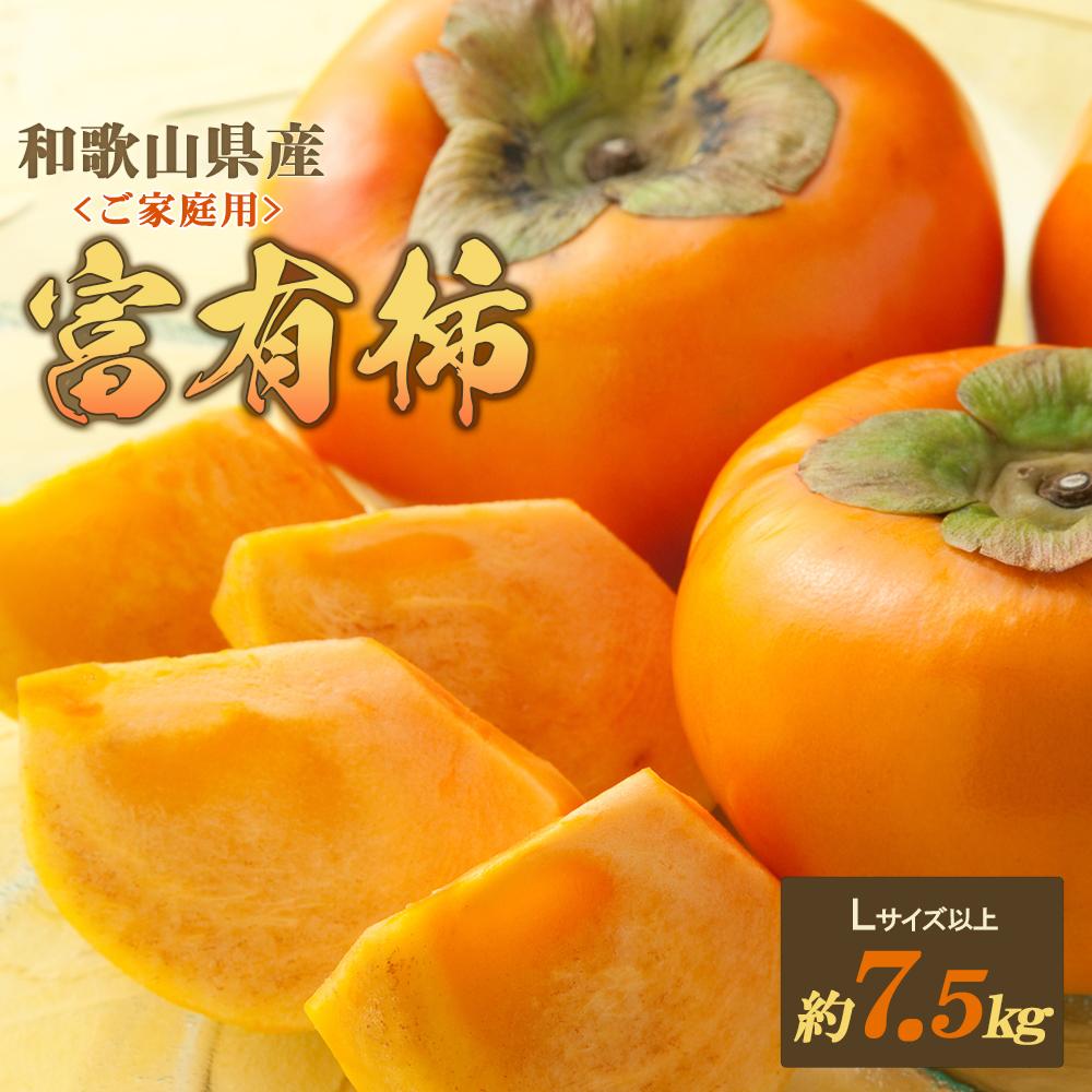 【ふるさと納税】◆先行予約◆和歌山県産 富有柿＜ご家庭用＞約7.5kg 満杯詰め【2024年11月上旬以降発送】【九度山町産】【MG2】 | 和歌山県 和歌山市 和歌山 楽天ふるさと 納税 支援品 返礼品 お取り寄せグルメ お取り寄せ 取り寄せ グルメ 柿 かき カキ フルーツ 果物のサムネイル