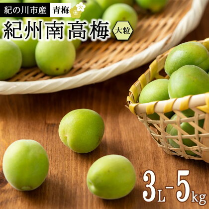 紀州南高梅(青梅) 5kg＜大粒／3Lサイズ以上＞【2024年5月下旬以降発送】【MG14】 | 和歌山県 和歌山市 和歌山 楽天ふるさと 納税 支援品 支援 返礼品 青梅 梅 うめ ウメ 紀州南高梅 梅干し 梅干 うめぼし 梅ジュース 梅シロップ 梅ジャム 特産品 梅酒