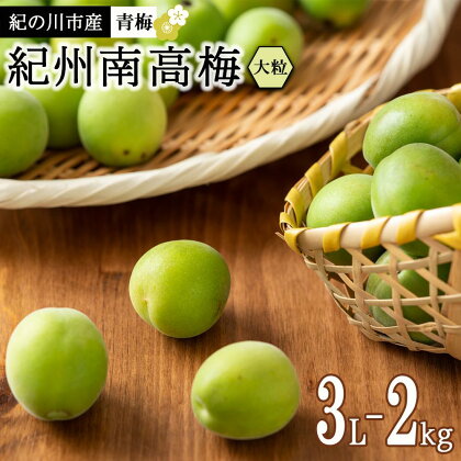 紀州南高梅(青梅) 2kg＜大粒／3Lサイズ以上＞【2024年5月下旬以降発送】【MG13】 | 和歌山県 和歌山市 和歌山 楽天ふるさと 納税 支援品 支援 返礼品 青梅 梅 うめ ウメ 紀州南高梅 梅干し 梅干 うめぼし 梅ジュース 梅シロップ 梅ジャム