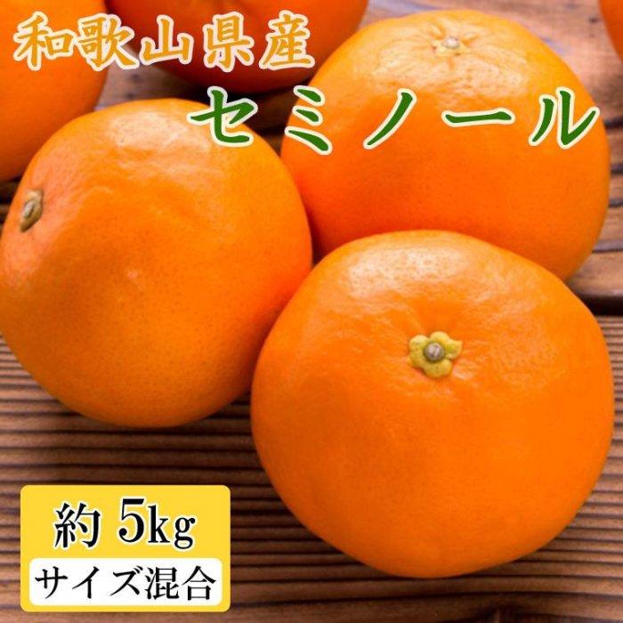 和歌山県産セミノールオレンジ約5kg(サイズ混合 秀品)★2025年4月頃より順次発送[TM146]