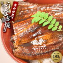 【ふるさと納税】うなぎ蒲焼き2尾入り 480g(蒲焼たれ4袋 山椒付き)【KS5】