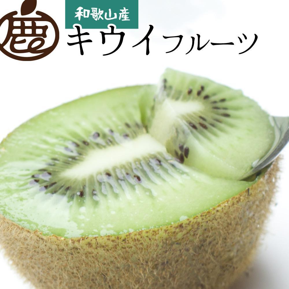 【ふるさと納税】＜11月より発送＞厳選キウイフルーツ2.5kg+75g（傷み補償分） | フルーツ 果物 くだもの 食品 人気 おすすめ 送料無料