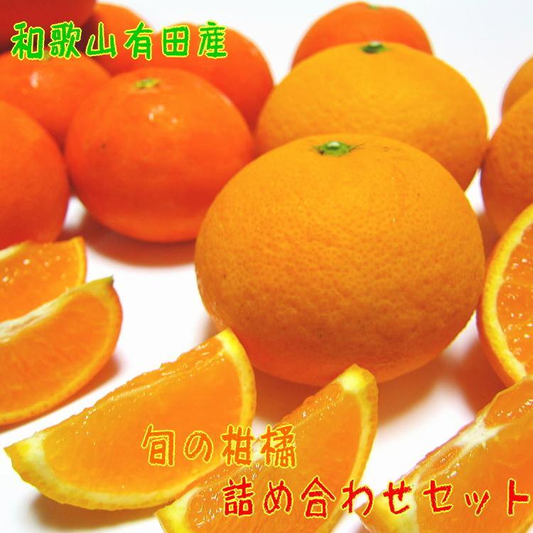 旬のご家庭用 柑橘詰め合わせ セット 約2.5kg[農家直送][和歌山県産][訳あり][先行予約・2025年1月中旬〜4月下旬発送] | フルーツ 果物 くだもの 食品 人気 おすすめ 送料無料