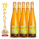 11位! 口コミ数「0件」評価「0」賢みかんジュース500ml 5本セット ギフト | 飲料 ドリンク 食品 人気 おすすめ 送料無料