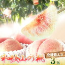 【ふるさと納税】秀品 紀州和歌山産の桃 3玉 化粧箱入【2025年7月上旬より順次発送】【UT105】