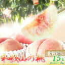 【ふるさと納税】紀州和歌山産の桃 15玉 化粧箱入【20