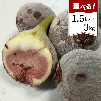 和歌山産 冷凍 いちじく 1.5kg（500g ×3袋）／3kg（500g ×6袋）