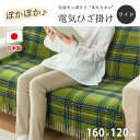 【ふるさと納税】『和』【160×120cm】色々使える!ワイドサイズ暖か電気ひざ掛け 【全3色】 SB-20HW01 | 寝具 日用品 人気 おすすめ 送料無料(3)