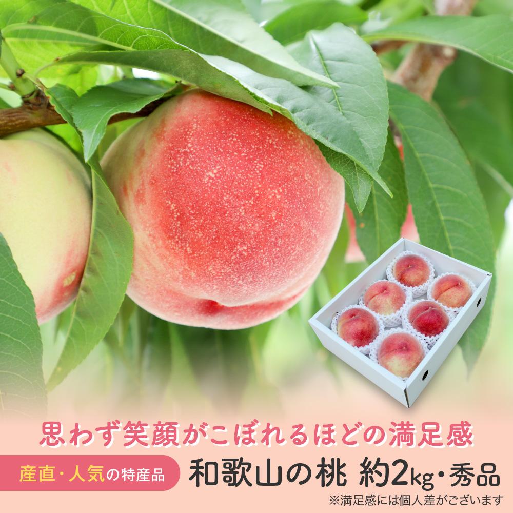 [産直・人気の特産品]和歌山の桃 約2kg・秀選品★2024年度発送★ | 和歌山県 和歌山市 和歌山 楽天ふるさと 納税 支援品 返礼品 お取り寄せグルメ お取り寄せ 取り寄せ グルメ フルーツ 果物 くだもの 桃 もも モモ ピーチ 特産品 おいしい 美味しい