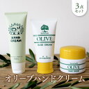 4位! 口コミ数「0件」評価「0」オリーブハンドクリーム3点セット | 化粧 コスメ 美容 人気 おすすめ 送料無料