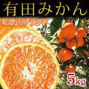 【ふるさと納税】【魚鶴商店厳選】和歌山人気のフルーツ定期便（柿・みかん）【定期便全3回】 3