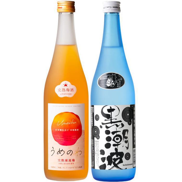 楽天和歌山県和歌山市【ふるさと納税】焼酎 黒潮波（くろしおなみ）720mlと紀州完熟南高梅「梅酒」720mlの2本セット【TM19】 | 和歌山 楽天ふるさと 納税 支援品 返礼品 お取り寄せ 取り寄せ 酒 お酒 おさけ さけ アルコール飲料 梅酒 紀州南高梅 詰め合わせ セット おいしい