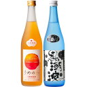 8位! 口コミ数「0件」評価「0」焼酎 黒潮波（くろしおなみ）720mlと紀州完熟南高梅「梅酒」720mlの2本セット【TM19】 | 和歌山 楽天ふるさと 納税 支援品 返･･･ 