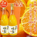 7位! 口コミ数「0件」評価「0」有田みかん果汁100％ジュース「味皇」720ml×2【UT01】 | 和歌山 楽天ふるさと 納税 支援品 返礼品 ジュース みかんジュース ･･･ 