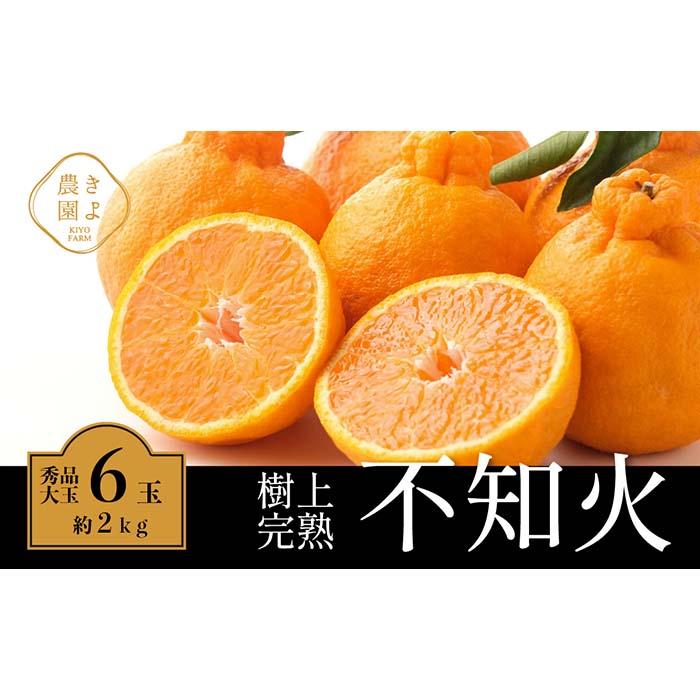 【ふるさと納税】不知火 希少な樹上完熟! 秀品大玉 6個入 (約2kg) 【2026年2月下旬頃~4月中旬頃まで発送】【KT2】 | フルーツ 果物 くだもの 食品 人気 おすすめ 送料無料