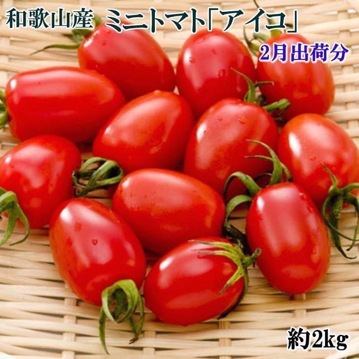 【ふるさと納税】【2月出荷分】ミニトマト「アイコトマト」約2kg（S・Mサイズおまかせ）【TM110】 | 和歌山県 和歌山市 和歌山 楽天ふるさと 納税 支援品 返礼品 お取り寄せグルメ お取り寄せ 取り寄せ グルメ トマト アイコ とまと ミニトマト 野菜 やさい