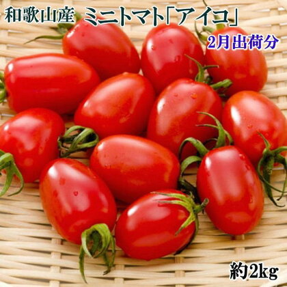 【2月出荷分】ミニトマト「アイコトマト」約2kg（S・Mサイズおまかせ）【TM110】 | 和歌山県 和歌山市 和歌山 楽天ふるさと 納税 支援品 返礼品 お取り寄せグルメ お取り寄せ 取り寄せ グルメ トマト アイコ とまと ミニトマト 野菜 やさい