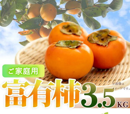 【ご家庭用わけあり】和歌山秋の味覚　富有柿　約3．5kg　「2024年11月上旬以降発送予定」【UT51】