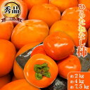 柿 【ふるさと納税】和歌山秋の味覚　平核無柿（ひらたねなしがき）約2kg／約4kg／約7.5kg　化粧箱入 | 和歌山県 和歌山市 和歌山 楽天ふるさと 納税 支援品 返礼品 お取り寄せグルメ お取り寄せ 取り寄せ グルメ 柿 かき カキ フルーツ 果物 くだもの 種なし 種無し柿