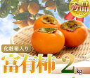 【ふるさと納税】和歌山秋の味覚　富有柿　約2kg化粧箱入「2024年11月上旬以降発送予定」【UT49】 | 和歌山県 和歌山市 和歌山 支援品 返礼品 お取り寄せグルメ 取り寄せ グルメ 柿 かき カキ フルーツ 果物 くだもの 甘い柿 おいしい 美味しい 秋の味覚 食べ物