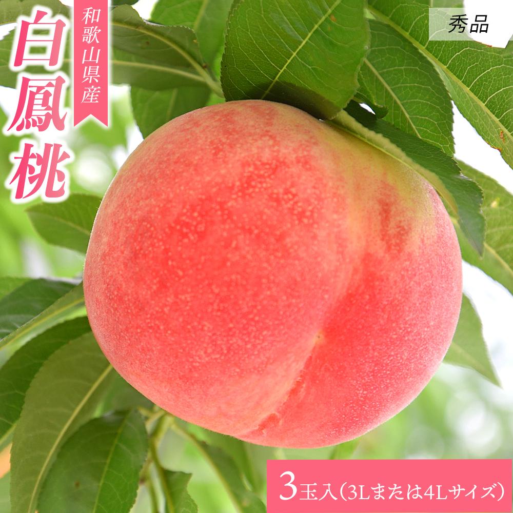 [大玉限定]和歌山県産 白鳳 [秀品] 3玉入り(3Lまたは4Lサイズ)[7月上旬より発送][MG27] | フルーツ 果物 くだもの 食品 人気 おすすめ 送料無料 桃 もも モモ 和歌山 和歌山県