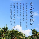 和歌山県和歌山市の画像2