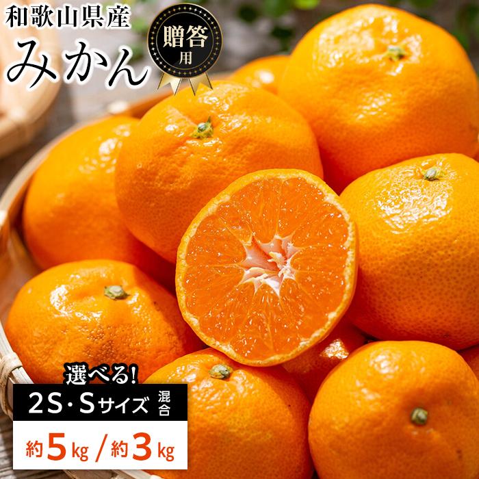 和歌山県産 糖度 12.5度以上 秀品 贈答用 みかん 3kg または 5kg 2S・S サイズ混合 | 和歌山県 和歌山 和歌山市 訳あり みかん 温州みかん フルーツ 果物 取り寄せ お取り寄せ グルメ