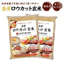 【ふるさと納税】金芽ロウカット玄米 選べる 4kg （2kg×2）／ 8kg （2kg×4）／ 12kg （2kg×6） | 和歌山県 和歌山市 和歌山 楽天ふるさと 納税 支援品 支援 返礼品 お取り寄せグルメ 取り寄せ グルメ 玄米 無洗米 お米 こめ 米 コメ