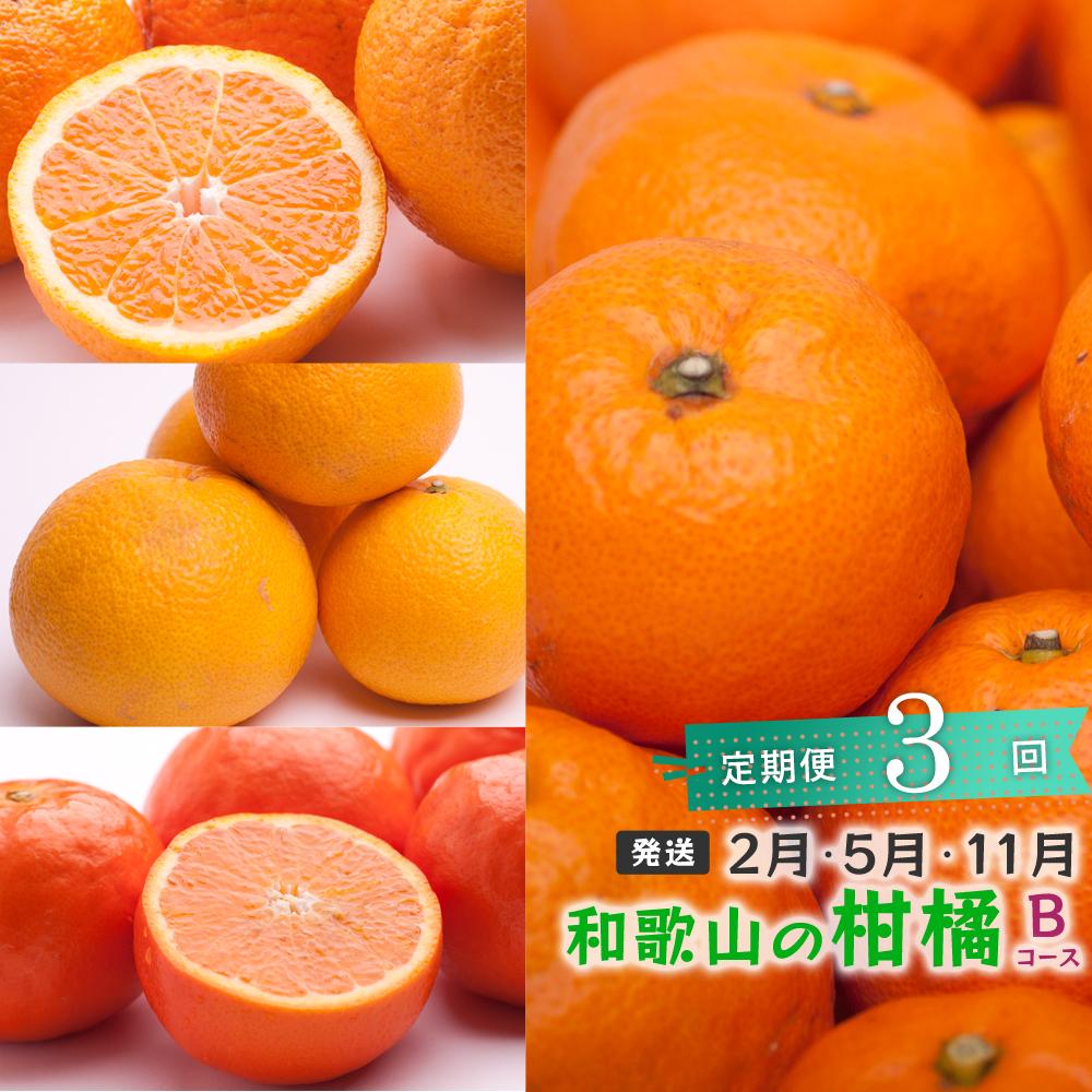 【ふるさと納税】【 2・5・11月 全3回 】 柑橘定期便B【IKE8】 | 柑橘 蜜柑 フルーツ 果物 くだもの 食品 人気 おすすめ 送料無料 定期便