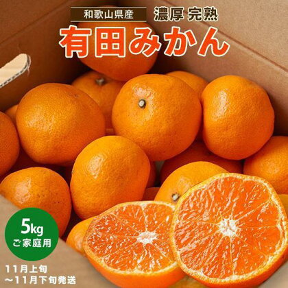 【先行予約】有田育ちのご家庭用 完熟有田みかん5kg【 2024年11月上旬より発送 】【訳あり】 | フルーツ 果物 くだもの 食品 人気 おすすめ 送料無料