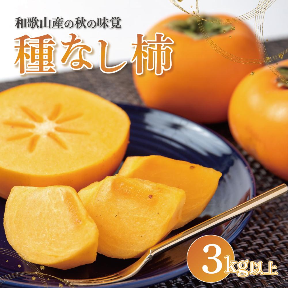 【ふるさと納税】【2025年発送】種なし柿 3kg以上【和歌山グルメ市場】【JG1】 | 柿 かき フルーツ 果物 くだもの 食品 人気 おすすめ 送料無料のサムネイル