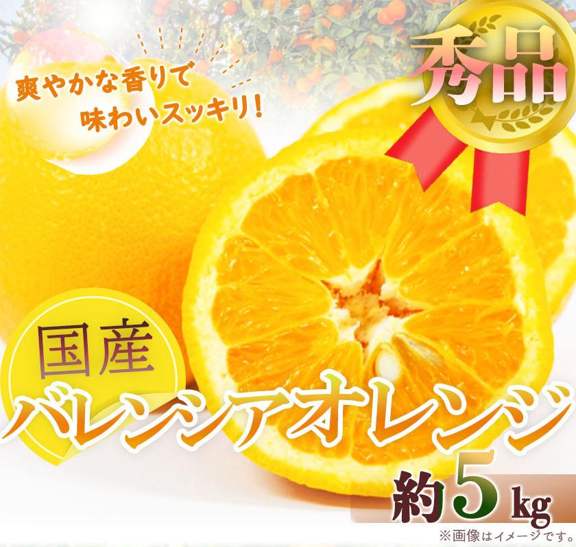 【ふるさと納税】秀品 希少な国産バレンシアオレンジ 5kg【2025年6月下旬頃~2025年7月上旬頃に順次発送】【UT76】 | 楽天ふるさと 納税 支援品 返礼品 お取り寄せグルメ お取り寄せ 取り寄せ グルメ フルーツ 果物 くだもの オレンジ バレンシアオレンジ