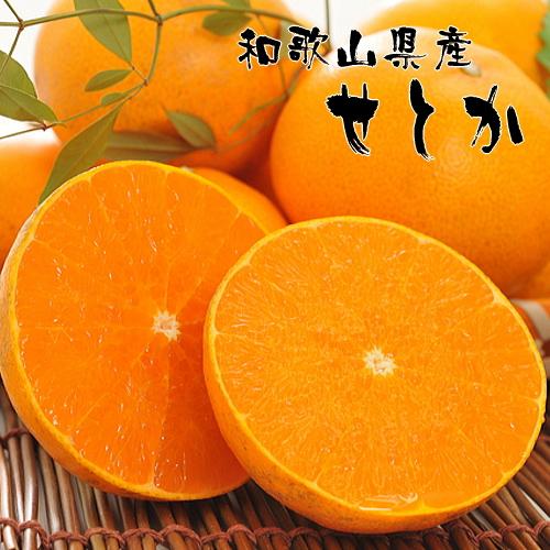 和歌山有田の濃厚せとか 約4〜5kg [先行予約] | くだもの フルーツ 果実 果物 有田 みかん 和歌山 [MS80] | フルーツ 果物 くだもの 食品 人気 おすすめ 送料無料