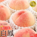 【ふるさと納税】先行販売!【モモ】 白鳳 桃の王様!約2kg6〜8個 【2025年6月下旬頃より順次発送】【秀品】こだわり農家厳選 【KG12】 | もも フル...